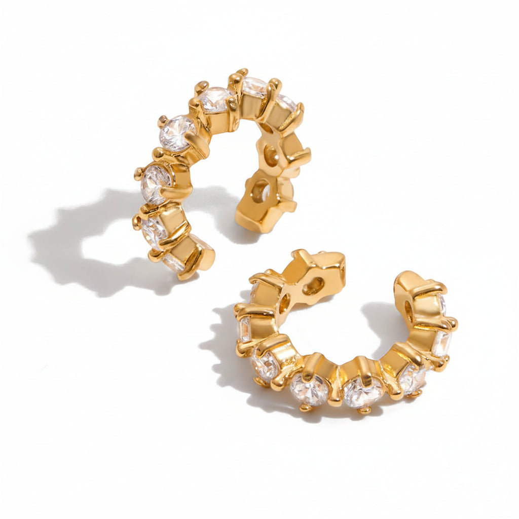 Elephant Earrings