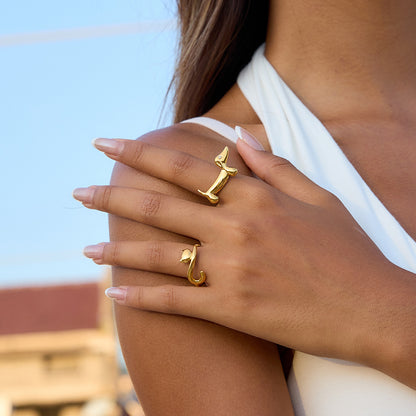 Dachshund And Cat Ring